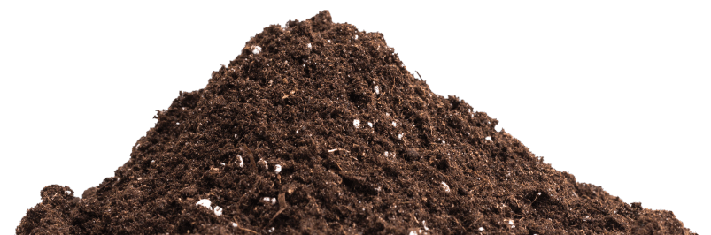 Image of dirt