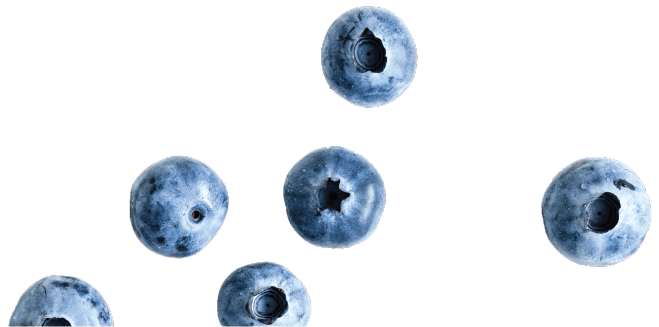 Image of blueberries