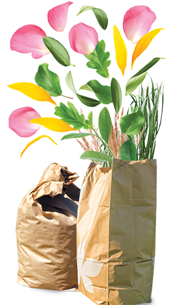 Tall paper compost bags with leaves and pink and yellow flower petals falling into them