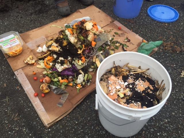 Food Scraps for Composting