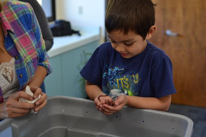 Child holding worm in Vermicomposting bin