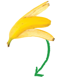A banana peel indicates food scraps that can be composted when placed in the organics cart.